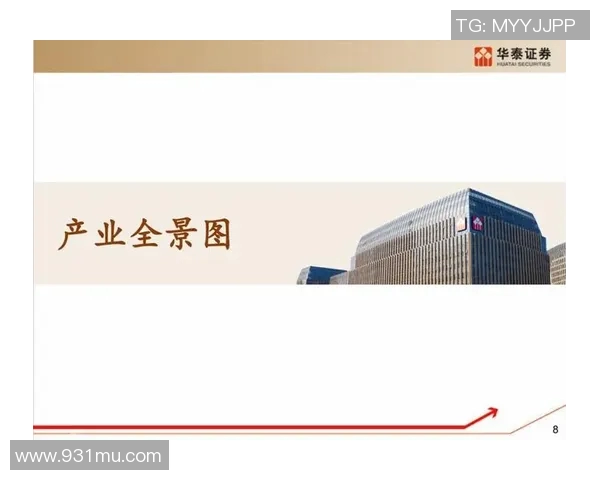 广州羽毛球队逆袭之路：重塑团队精神与技术革新全景解析